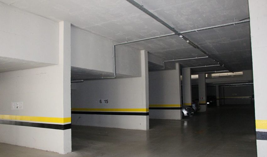 Botanik 224 - Etap 6